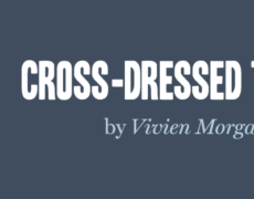 New Book release: Cross-dressed to Kill